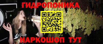 прущие грибы Комсомольск-на-Амуре