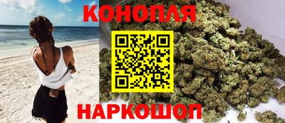 прущие грибы Комсомольск-на-Амуре
