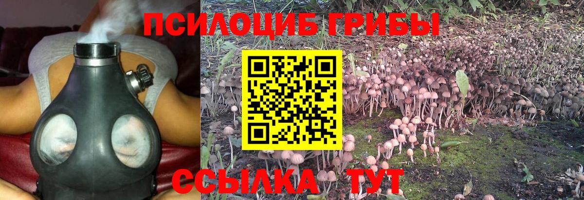 Галлюциногенные грибы ЛСД Коломна