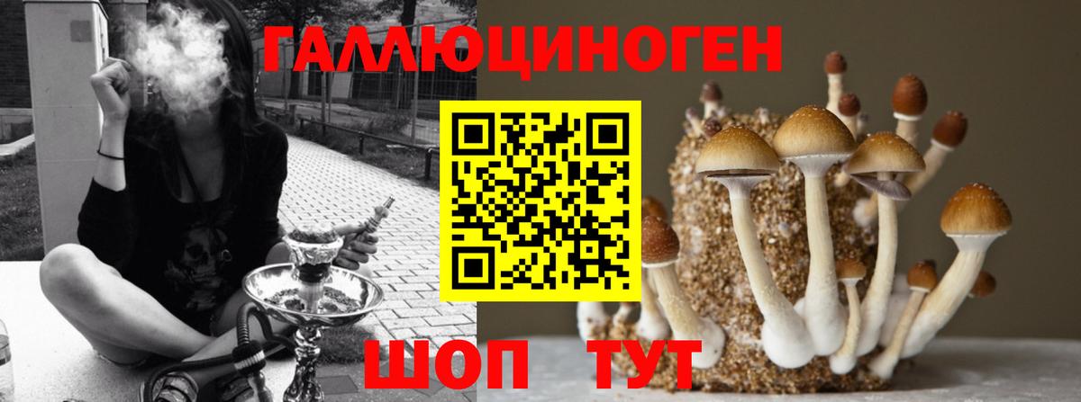 Псилоцибиновые грибы прущие грибы  Псилоцибиновые грибы Magic Shrooms  как найти наркотики  Вход с VPN  Коломна 